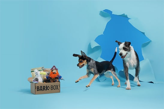 BARK Box