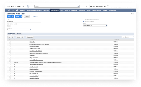 Screenshot of NetSuite dashboard.