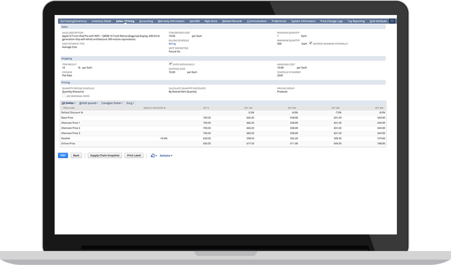 NetSuite Dashboard. Screenshot.